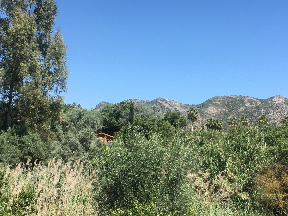 Finca Fahala Cártama Dış mekan fotoğraf