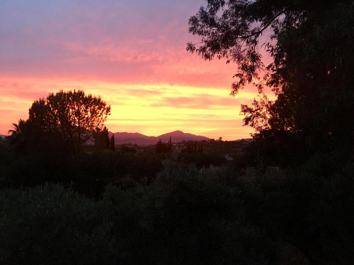 Finca Fahala Cártama Dış mekan fotoğraf